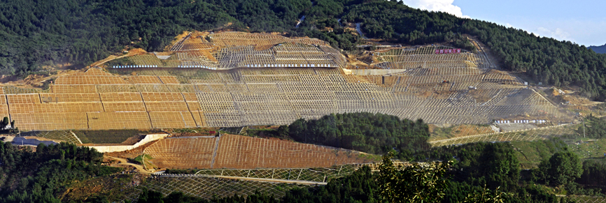 飛鳳山地質(zhì)災(zāi)害治理工程（處理）.jpg